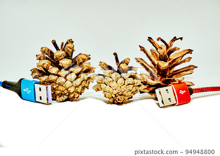 Two red blue usb connecting plugs between fir cones on a white background 94948800