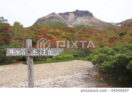 那須烏加平6周邊的紅葉 94948897