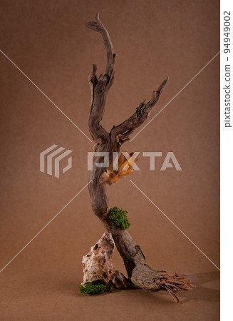 Autumn fall modern still life Autumn fall modern still life 94949002