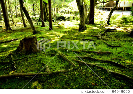 青苔寺（西法寺庭園）[京都府京都市西京區] 94949060