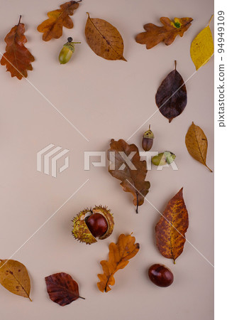 Autumn background with dry leaves. 94949109