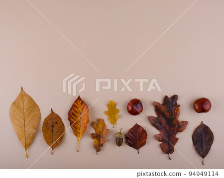 Autumn background with dry leaves. 94949114