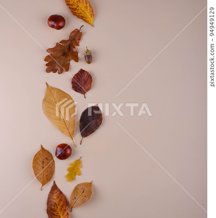 Autumn background with dry leaves. Autumn background with dry leaves. 94949129