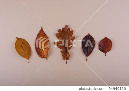 Autumn background with dry leaves. 94949130
