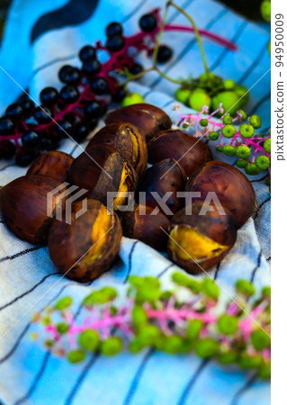 Wild grape-like pokeweed and roasted chestnuts 94950009