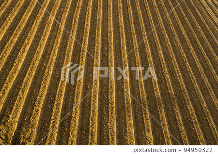 Ridges of a neatly plowed field Ridges of a neatly plowed field 94950322