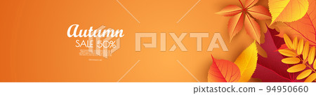 Autumn sale background, banner, poster or flyer. Vector illustration with colorful leaves. Template for banner, web poster, flyer, greeting card. Autumn sale background, banner, poster or flyer. Vector illustration with colorful leaves. Template for banner, web poster, flyer, greeting card. 94950660