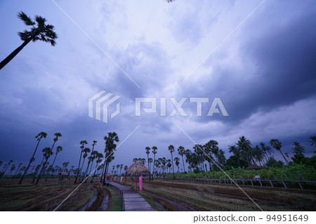 Landscape of Pathum Thani, Thailand 94951649