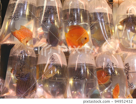 Goldfish and tropical fish sold with oxygen in a plastic bag in Hong Kong's Tsunagai (Goldfish Street) 94952432