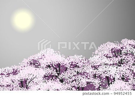 夜櫻櫻灰 94952455