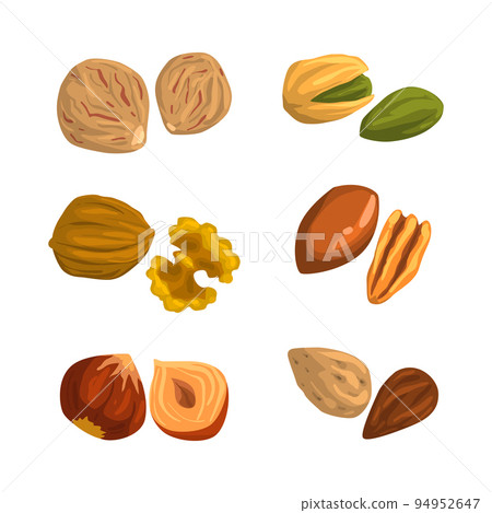 Nuts and seeds set. Walnut, hazelnut, cashew, nutmeg,pecan, almond vector illustration Nuts and seeds set. Walnut, hazelnut, cashew, nutmeg,pecan, almond vector illustration 94952647