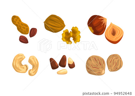 Nuts and seeds set. Peanut, walnut, hazelnut, cashew, pine nut, nutmeg vector illustration Nuts and seeds set. Peanut, walnut, hazelnut, cashew, pine nut, nutmeg vector illustration 94952648