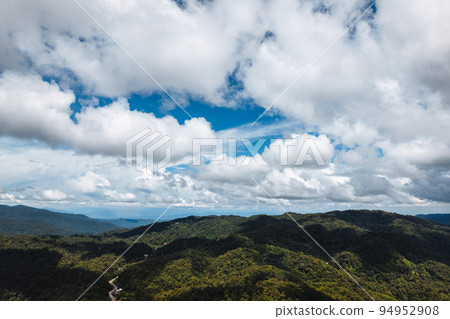 blue sky with clouds green forest in the morning blue sky with clouds green forest in the morning 94952908