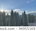 Blue sky and trees 94955169