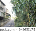 Narrow road and bamboo forest 94955175