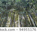  Bamboo grove 94955176