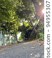A path where the sun shines through the trees 94955307
