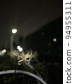 A single flower floating in the light 94955311