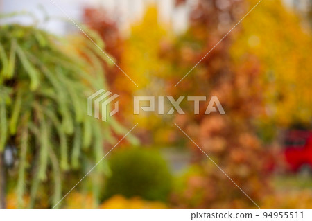 Bright autumn background. Defocused foliage is green and bright yellow Bright autumn background. Defocused foliage is green and bright yellow 94955511