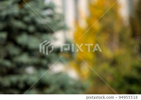 Bright autumn background. Defocused foliage is green and bright yellow 94955518