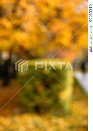 Bright autumn background. Defocused foliage is green and bright yellow Bright autumn background. Defocused foliage is green and bright yellow 94955519