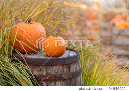 A large and a small pumpkin for Halloween are lying on an old wooden barrel. 94956021
