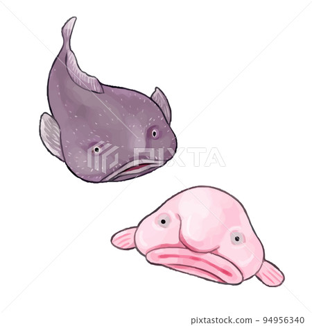 Blob Fish - Date 2  Blobfish, Fish drawings, Happy animals