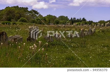 Carnac stones in Carnac, France 94956370