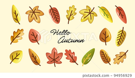 set of autumn leaves. Collection of colorful autumn leaves isolated on white background 94956929