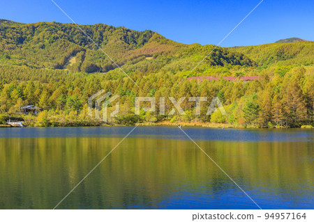 八千穗高原白樺群落和八千穗湖 八千穗高原白樺群落和八千穗湖 94957164