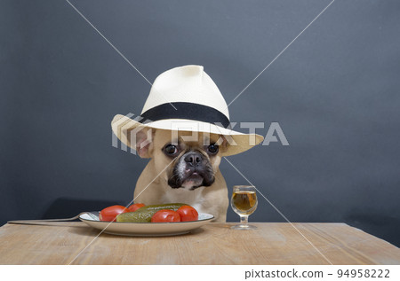 French bulldog dog with a small glass of alcohol and a snack of salted vegetables sits in a summer hat at a wooden table with a sad look. The dog drinks alcohol while sitting against a gray wall. 94958222