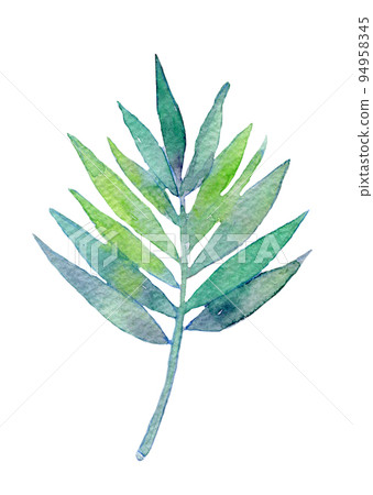 Tropical leaf watercolor illustration 94958345