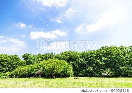 與綠色和藍天的風景 94958538