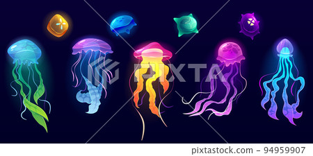 Jellyfish underwater animals, colorful jelly fish Jellyfish underwater animals, colorful jelly fish 94959907