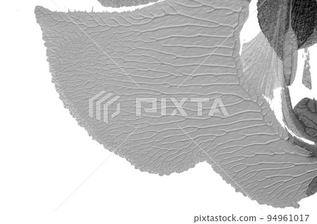 black white abstract acrylic painting color texture on white paper background by using rorschach inkblot method 94961017