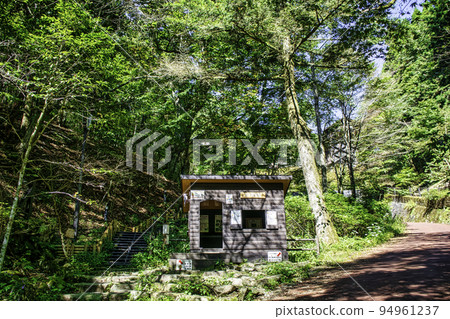 東京,Hinohara Tomin no Mori Otaki no Michi 和通往山的小道。 東京,Hinohara Tomin no Mori Otaki no Michi 和通往山的小道。 94961237