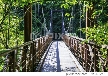 Tokyo, Hinohara Tomin no Mori, Mito Otaki Takimi Bridge Tokyo, Hinohara Tomin no Mori, Mito Otaki Takimi Bridge 94961243