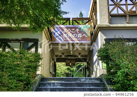 東京日野原土民之森森林公園 94961256