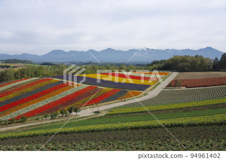 美麗美瑛的四季彩之岡 美麗美瑛的四季彩之岡 94961402