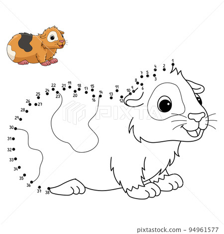 Dot to Dot Guinea Pig Isolated Coloring Page Dot to Dot Guinea Pig Isolated Coloring Page 94961577