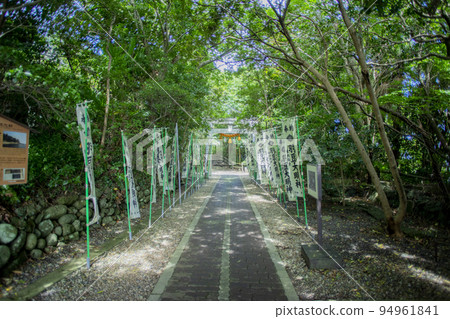 Torii in the sunlight filtering through the trees 94961841