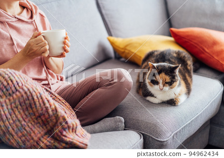 Close-up woman in a plaid drinking hot tea with relaxed cat on the sofa at home. Cozy and comfortable winter or autumn weekends. Pleasant ways to keep warm. Take a break and relax. Selective focus. Close-up woman in a plaid drinking hot tea with relaxed cat on the sofa at home. Cozy and comfortable winter or autumn weekends. Pleasant ways to keep warm. Take a break and relax. Selective focus. 94962434