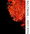 Autumn leaves that shine at night 94962706