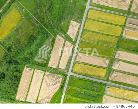 Osasanami paddy field 94963440