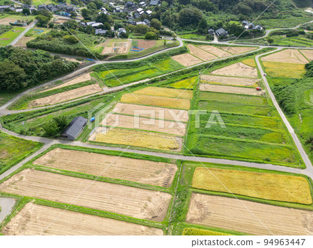 小佐南稻田 94963447