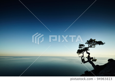 Tree and sea at sunset. Crimea landscape Tree and sea at sunset. Crimea landscape 94963813