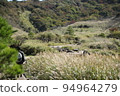 Bogatsuru徒步旅行 94964279