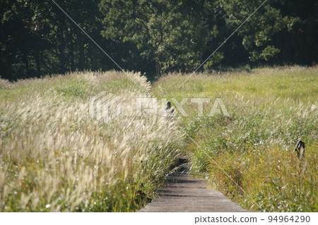Bogatsuru徒步旅行 Bogatsuru徒步旅行 94964290