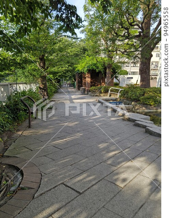 Kanda Josui Park, Shinjuku Ward, Tokyo, 30 Selections of Shinjuku, Promenade along the Kanda River Taken in June 2022 Kanda Josui Park, Shinjuku Ward, Tokyo, 30 Selections of Shinjuku, Promenade along the Kanda River Taken in June 2022 94965558