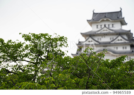 The castle tower (National Treasure Himeji Castle) seen through the fresh green trees 94965589